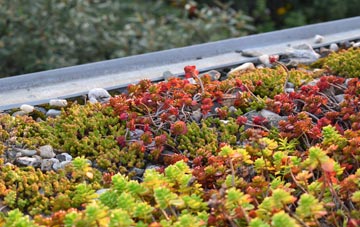 the cost of Cockayne green roof installation