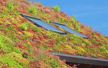 Cockayne living roof systems