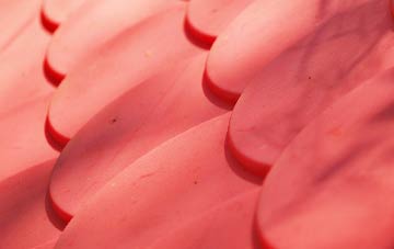 Cockayne plastic roof costs