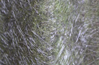 Cockayne fibreglass roof work